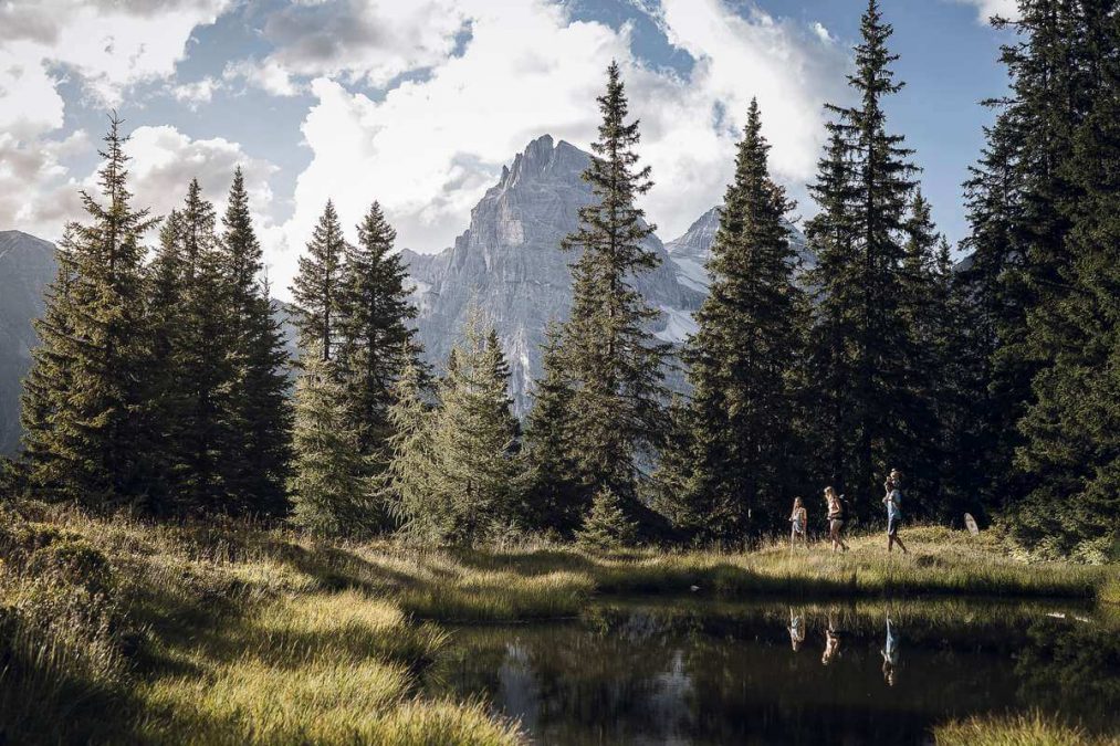 Angebot: Wandern in der Stille der Natur